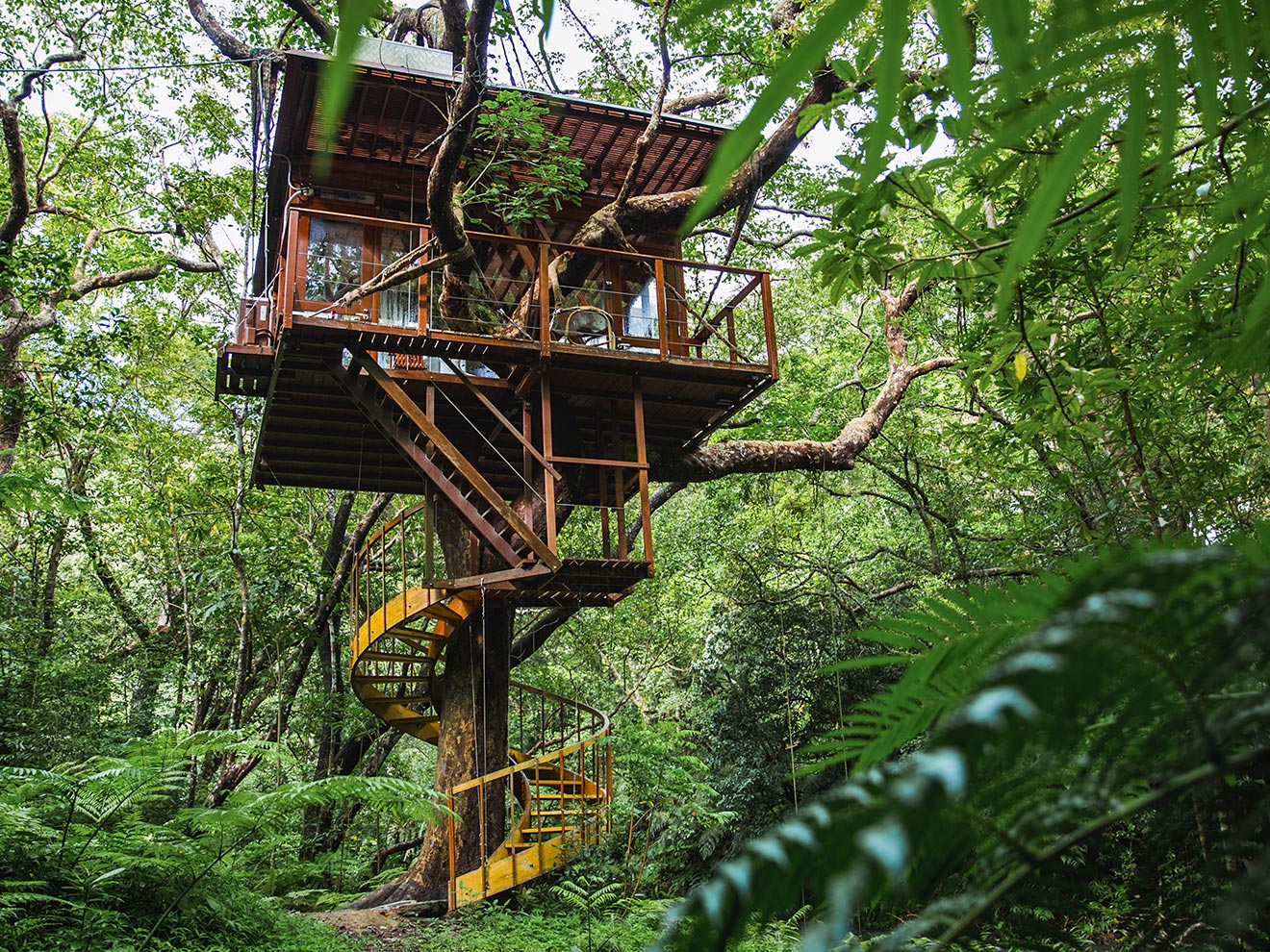 Treehouse 