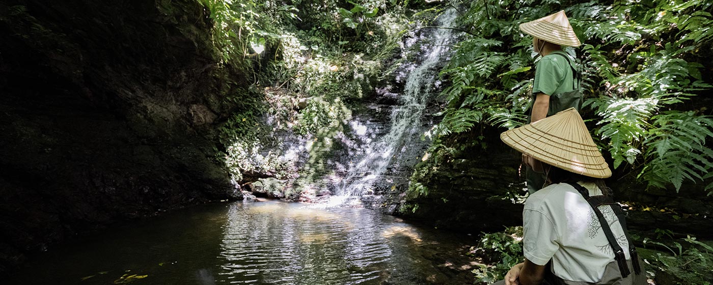 You can learn about nature and animals unique to Okinawa