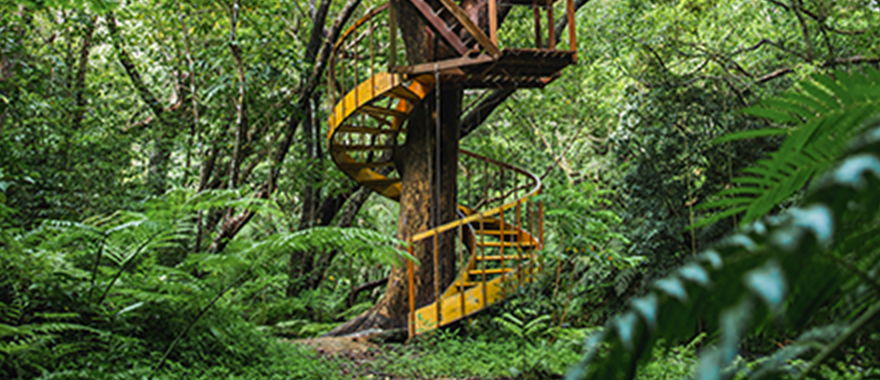 Building a True Treehouse