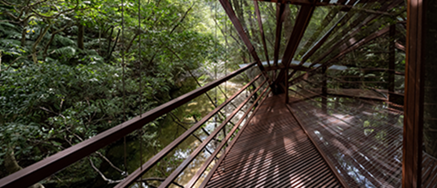 Allowing Natural Rain and Sunlight to Reach the Ground