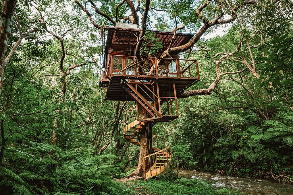 Spiral Treehouse