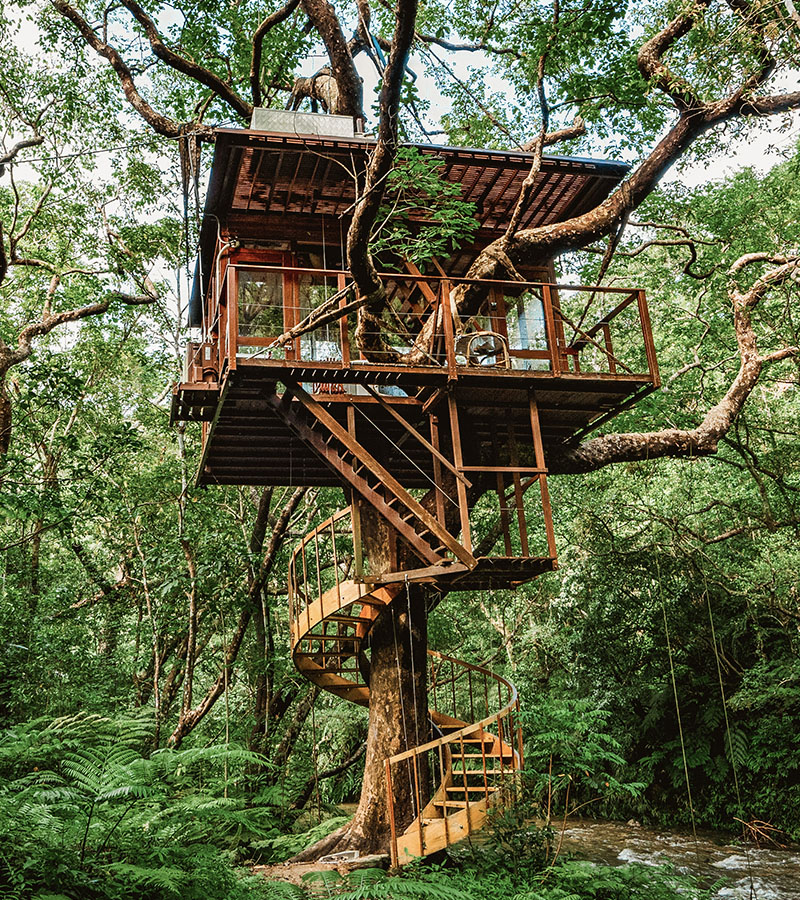 Spiral Treehouse + AeroHouse 1