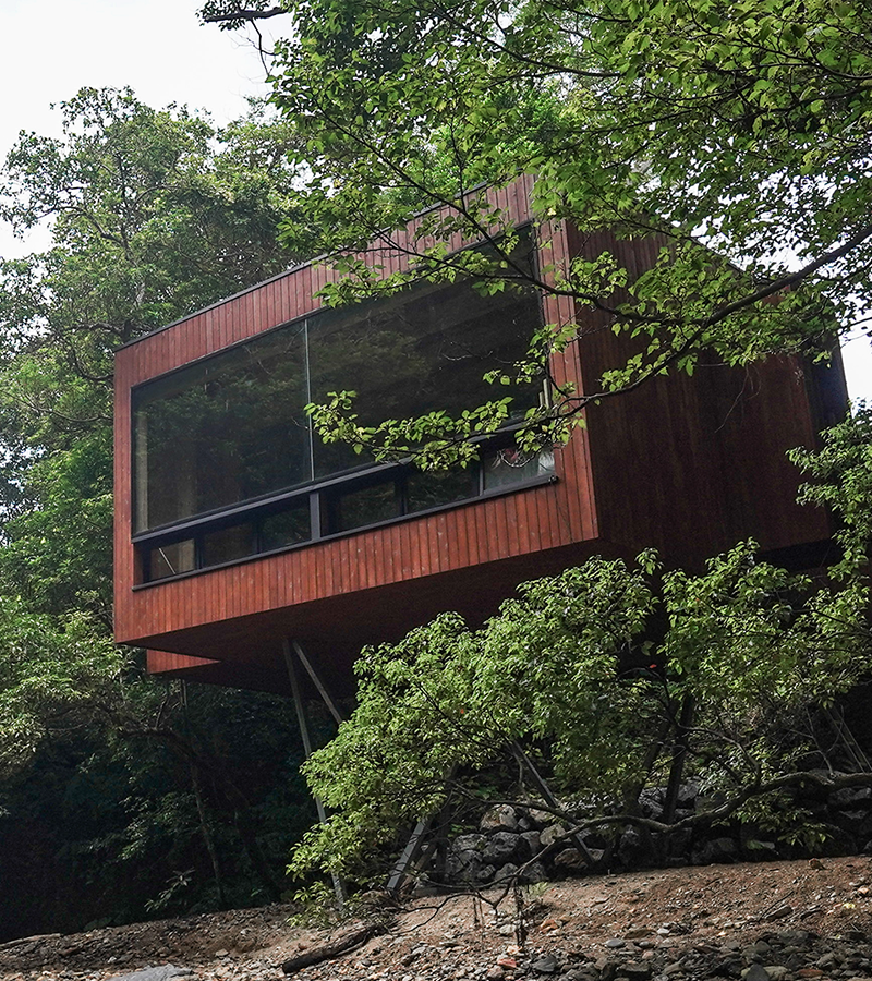 Spiral Treehouse + AeroHouse 1