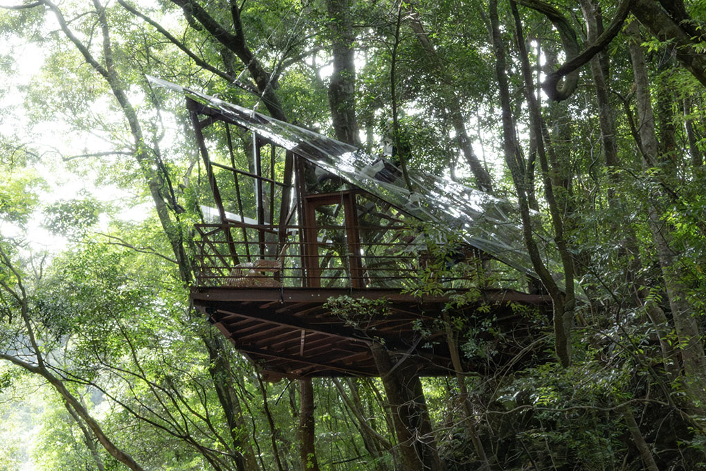 Halcyon Treehouse