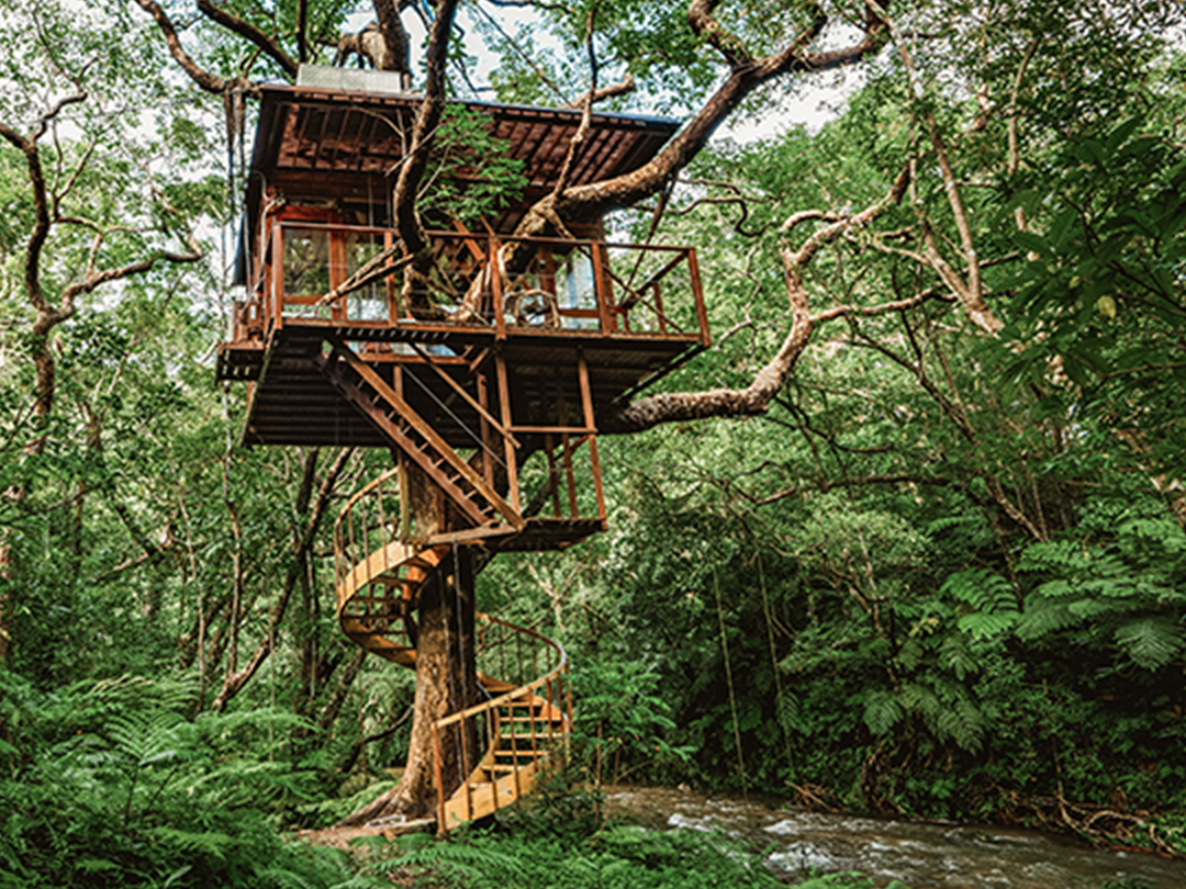 Treehouse 