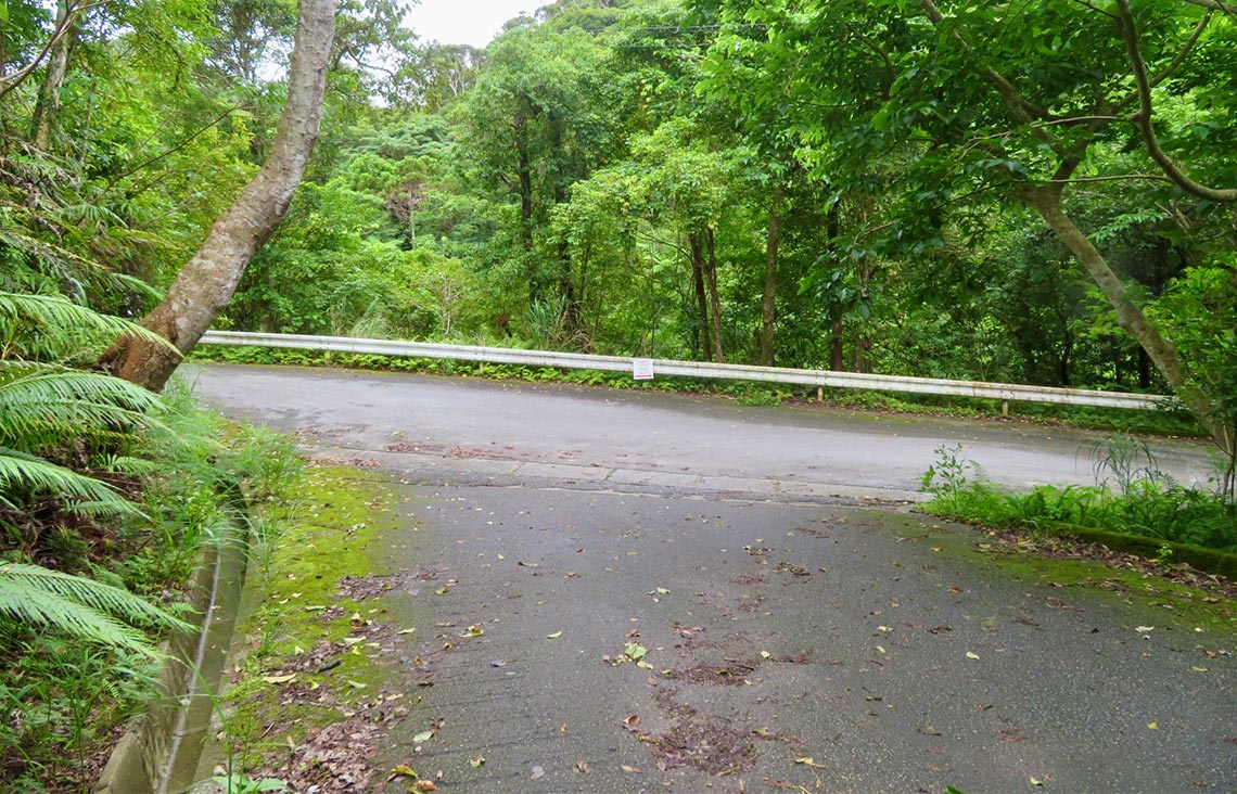 At the end of the road, you will see the Treeful Treehouse sign.  Turn right at this sign.