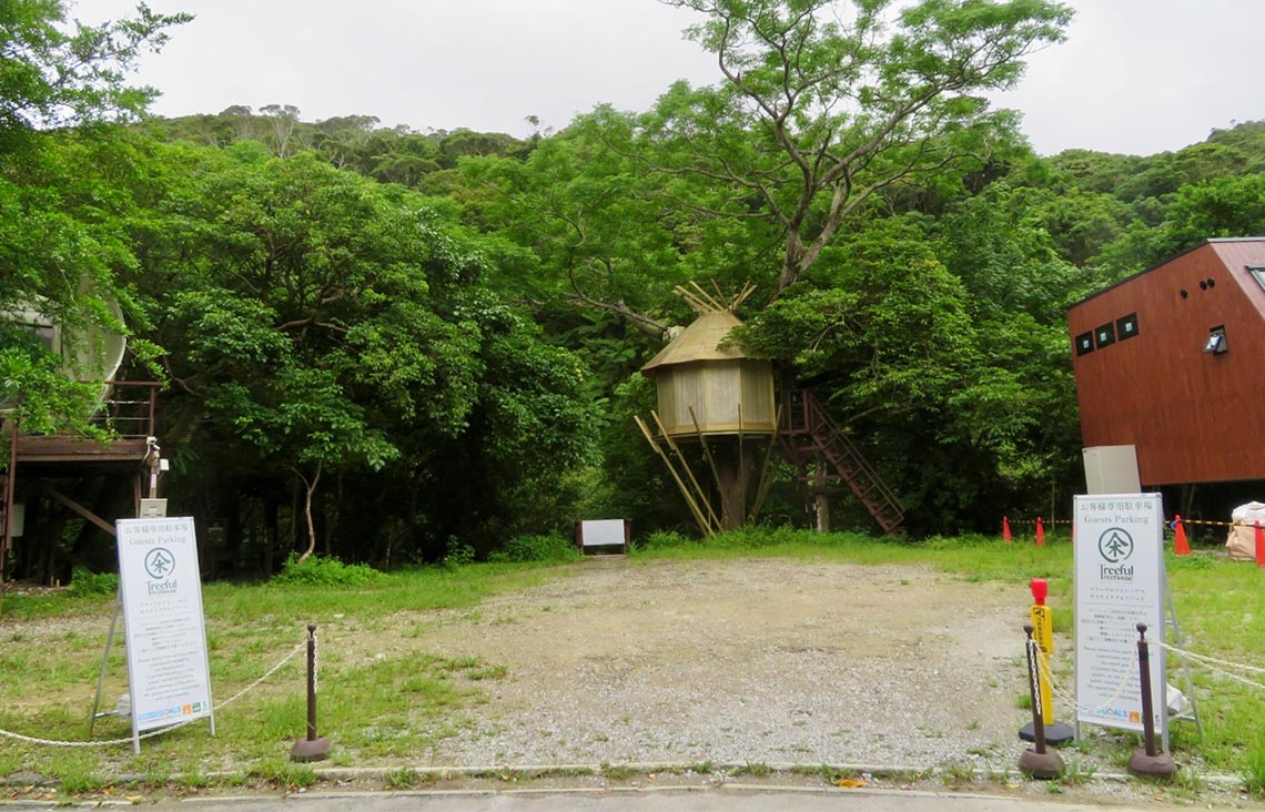  Continue straight for about 5 minutes, and you will see the treehouse on your left.