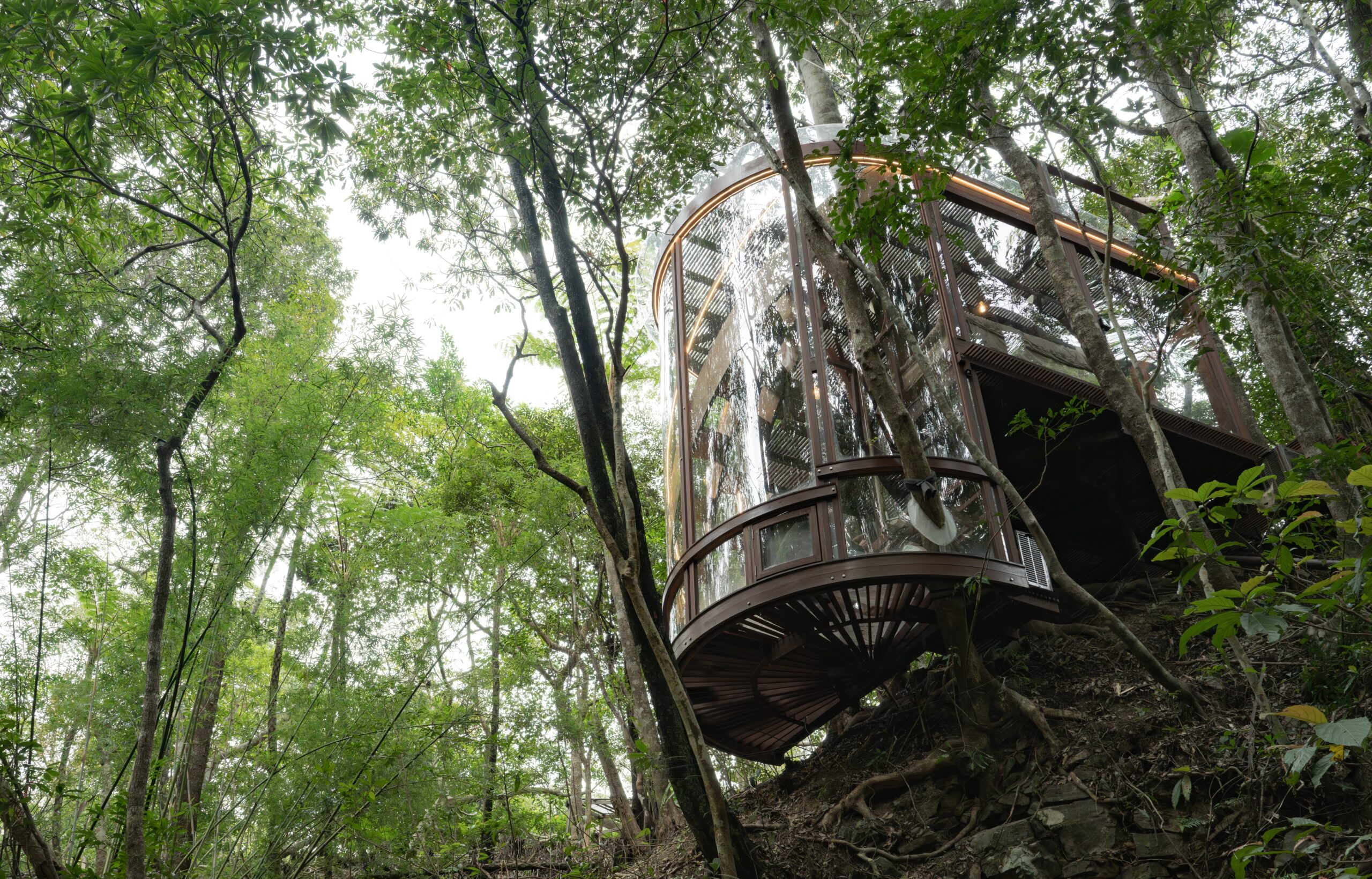 Bamboo Tree House (Tree House alone)